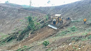 After Clearing Land, D6R XL Bulldozer Makes New Road