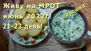 Живу на МРОТ июнь 2022г! 21 - 22 день! Небольшая закупка! Дорвалась до кваса!