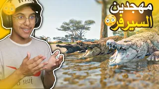 انيمليا سيرفايفل #8 : من تمساح صغير الى مهجد السيرفر😳🔥! | Animalia Survival