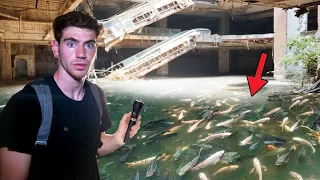 ABANDONED MALL FULL OF LIVE FISH INSIDE!! (Thailand)