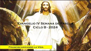 Evangelio Jueves IV Semana de Pascua 2024