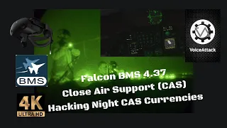 Falcon BMS 4.37 Hacking Night CAS Currencies| VR