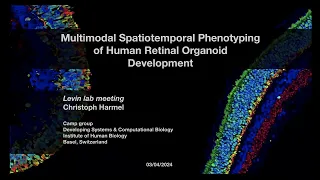 Multimodal Spatiotemporal Phenotyping of Human Retinal Organoid Development by Christoph Harmel