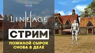 ПОЖИЛОЙ СЫРОК СНОВА В ДЕЛЕ ● LINEAGE2 KETRAWARS X1