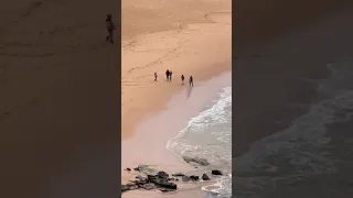 Kelly Slater surfing at Avalon