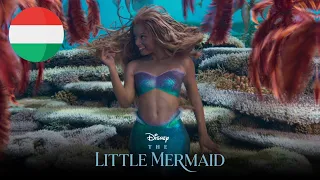 The Little Mermaid (2023) - Under The Sea (Hungarian/Magyarul) [HQ]