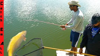 MASSIVE FISH DESTROYED my POND Re-BUILDING!