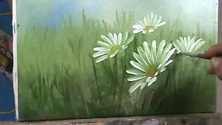 pintando margaridas