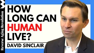 DAVID SINCLAIR "How Long Can Humans Live" | Dr David Sinclair Interview Clip
