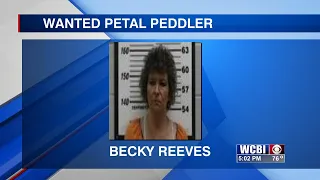 Monroe County deputies accuse woman of taking flowers from graves