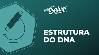 Estrutura do DNA - Biologia Molecular - Me Salva! Saúde