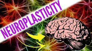 Top 8 Way Increase Neuroplasticity