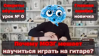 Как научиться играть на гитаре с нуля. Мозг, нейроны и Гитара