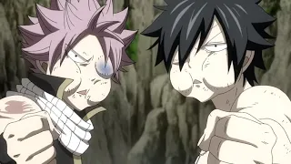 Fairy Tail   Natsu & Gray Punch Erza By Accident