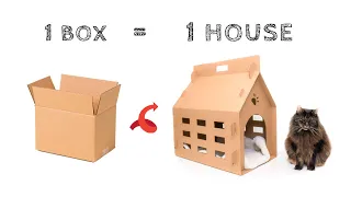 Transform a Simple Box into a Cat House / Dog House