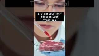 Какое на вкус человеческое мясо?