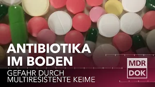 MISSION: WELT RETTEN! Antibiotika im Boden | MDR DOK