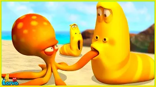 LARVA 2025: Octopus at the Beach | Mini cartoon Movie | Fun Clips from Animation LARVA