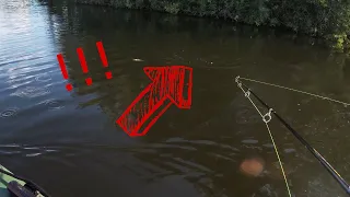 Barschschwärme am Boot🐟​🐟​🐟​