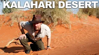 Survivorman  Kalahari Desert | Namibia | Les Stroud | GLITCHES FIXED!