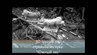 Фрагмент 3D турнир по стрельбе из лука "Южный лес". Стрельба с кольцом.