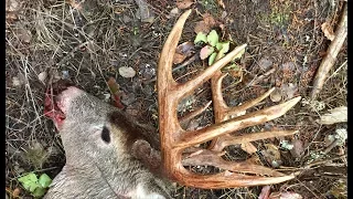 Shot Big Buck, Rattled Him In 9x5/ Deer hunt - Stuck N the Rut 91