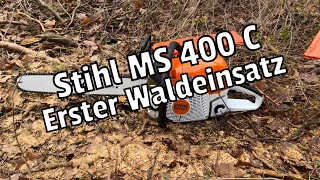 Stihl MS 400 C | Erster Waldeinsatz | Test an einer Eich | Brennholz