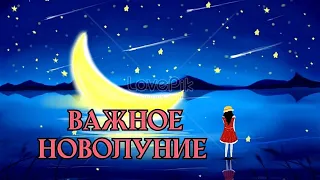 🌒🌕🌘 Период НОВОЛУНИЯ ⏳О чем важном нужно знать сейчас? 🦋⚖️