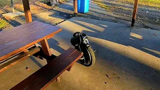 A 41 year olds EUC Journey learning to ride update: Third ride on the Inmotion V11 electric unicycle