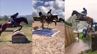 Showjumping and Eventing TikTok Compilation pt 2