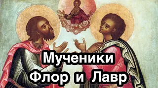 Мученики Флор и Лавр Иллирийские. Житие. История жизни. Икона. Покровители домашних животных.