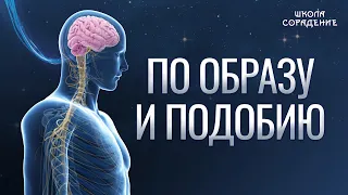 По образу и подобию #Ануннаки #ПроводВголову #Гарат #ШколаСорадение