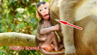 OMG !! Mom Please Hug Me , I Really Scare Fallen Down From High Tree Baby Annie Asked Mummy Amara To