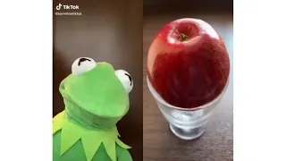 Funny Kermit the frog videos of 2020 (Part 4)