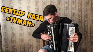 СЕКТОР ГАЗА - ТУМАН / на баяне #музыка#баян