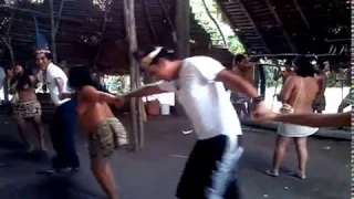 ¿SABRA BAILAR? BORA BORA charapas EN LA SELVA IQUITOS PERÚ