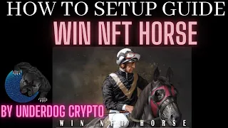 WIN NFT HORSE HOW TO SETUP GUIDE: BY UNDERDOG CRYPTO #WINNFTHORSE #APENFT #TRON