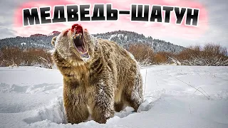 🐻Кто такой МЕДВЕДЬ ШАТУН и почему он ОПАСЕН?