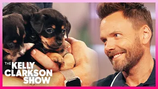 Kelly Surprises Joel McHale With Puppies