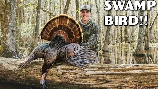 ALABAMA TURKEY HUNTING! - Stalked Through a SWAMP!