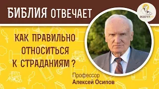 Как правильно относиться к страданиям ? Алексей Ильич Осипов