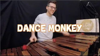 Dance Monkey - marimba cover (Tones & I)