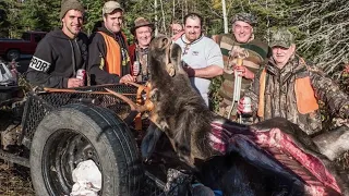 Chasse orignal gaspesie