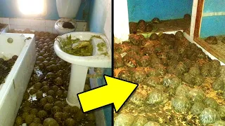 Cops Called To Investigate A Smell Didn't Expect To Find This