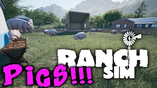 RANCH SIM - PIGS !!!