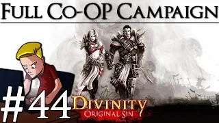 Divinity: Original Sin Enhanced Edition | Part 44 | The Immaculates