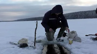 ЛОВЛЯ РЯПУШКИ-ОЧЕРЕДНОЙ ВЫЕЗД / ПРОВЕРКА СЕТЕЙ / ТАЁЖНЫЕ ГОСТИ