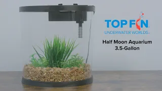 Top Fin Half Moon Fishtank 3.5 Gallon #Aquarium Setup | YouTube