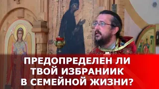 Предопределен ли твой избранник в семейной жизни? Священник Игорь Сильченков