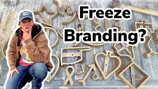 Freeze Branding Is It For Our Farm?